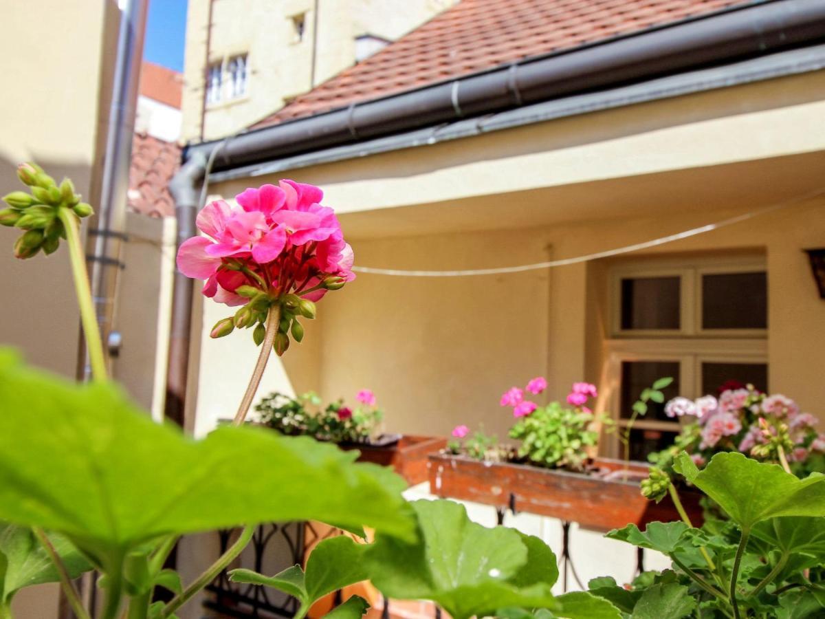 Nerudova By Interhome Praga